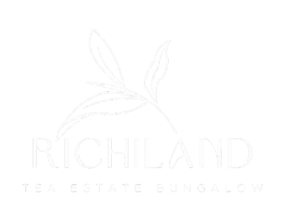 Richiland Logo